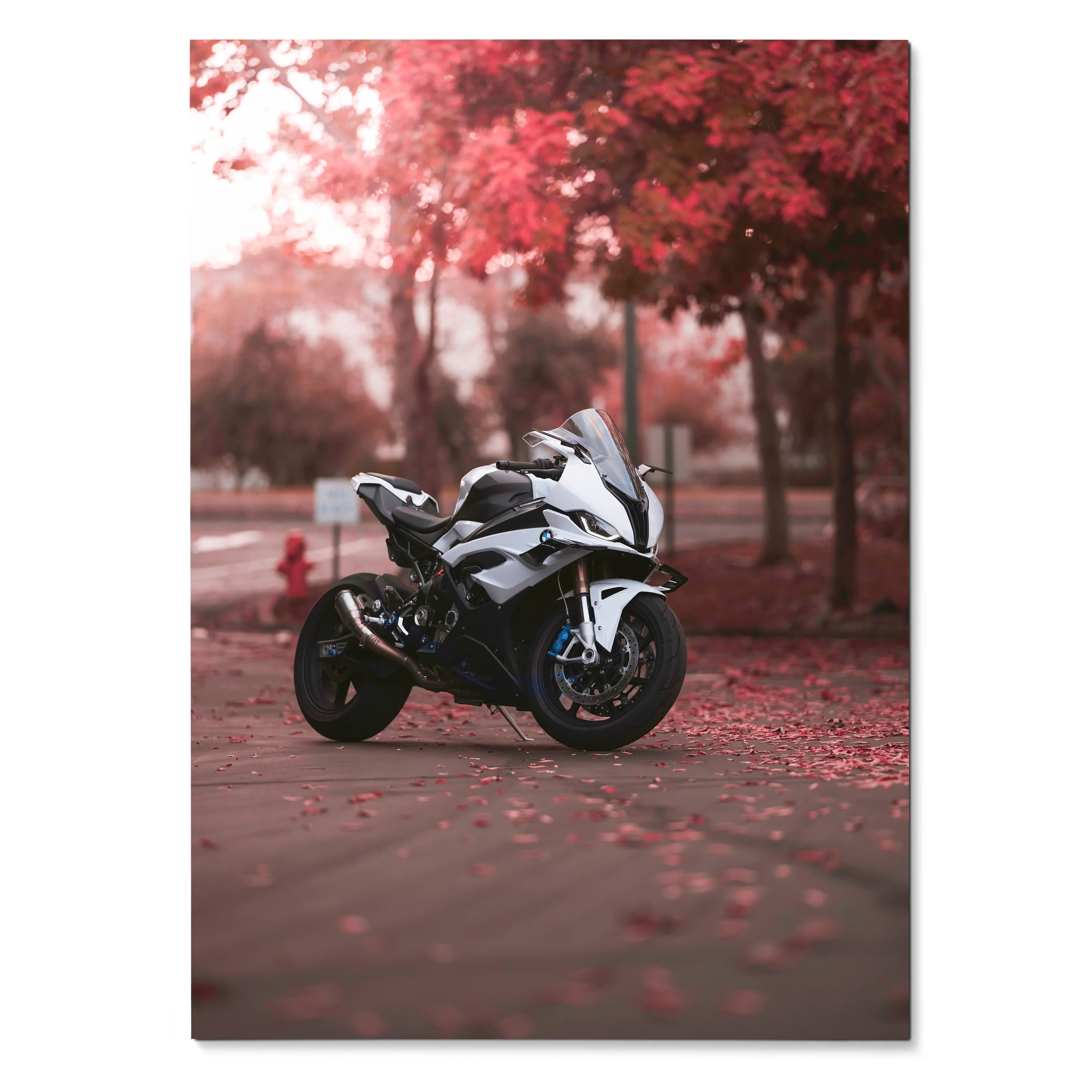 BMW S1000RR motorcycle poster with white bike and red autumn trees, dynamic wall art.
