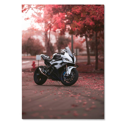 BMW S1000RR motorcycle poster with white bike and red autumn trees, dynamic wall art.