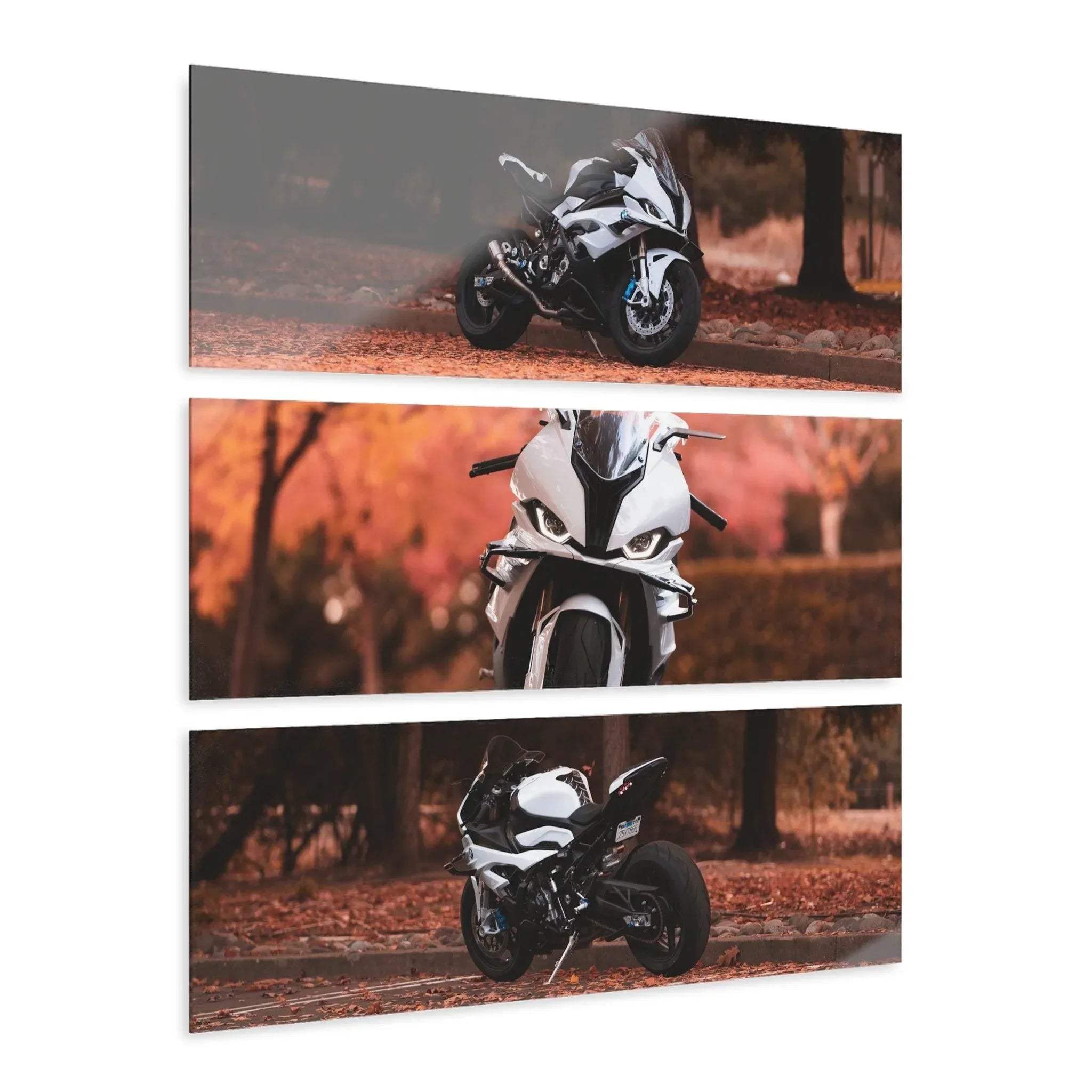 BMW S1000RR motorcycle three-piece canvas wall art set with autumn background, vertical and horizontal layout options.