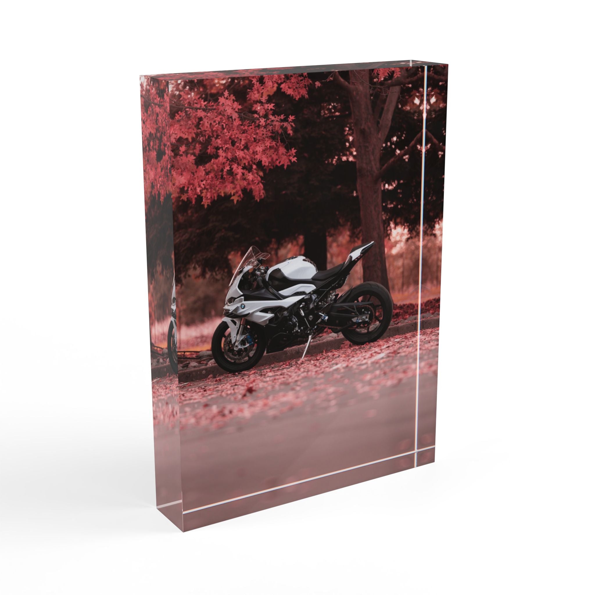 BMW S1000RR Motorcycle Acrylic Photo Block #018 - Throttle Designs