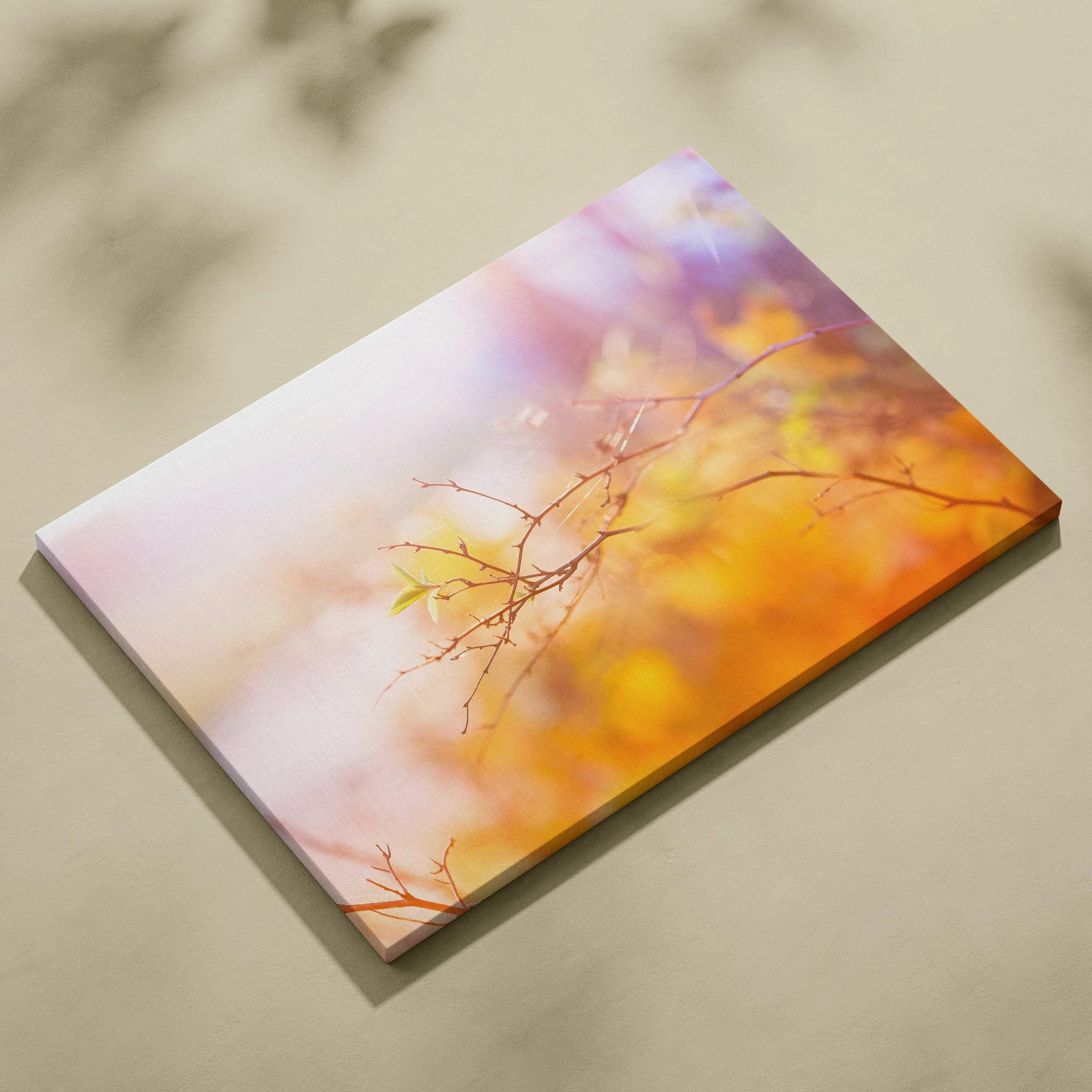 Canvas print of dreamy soft focus cherry blossom in warm sunset palette