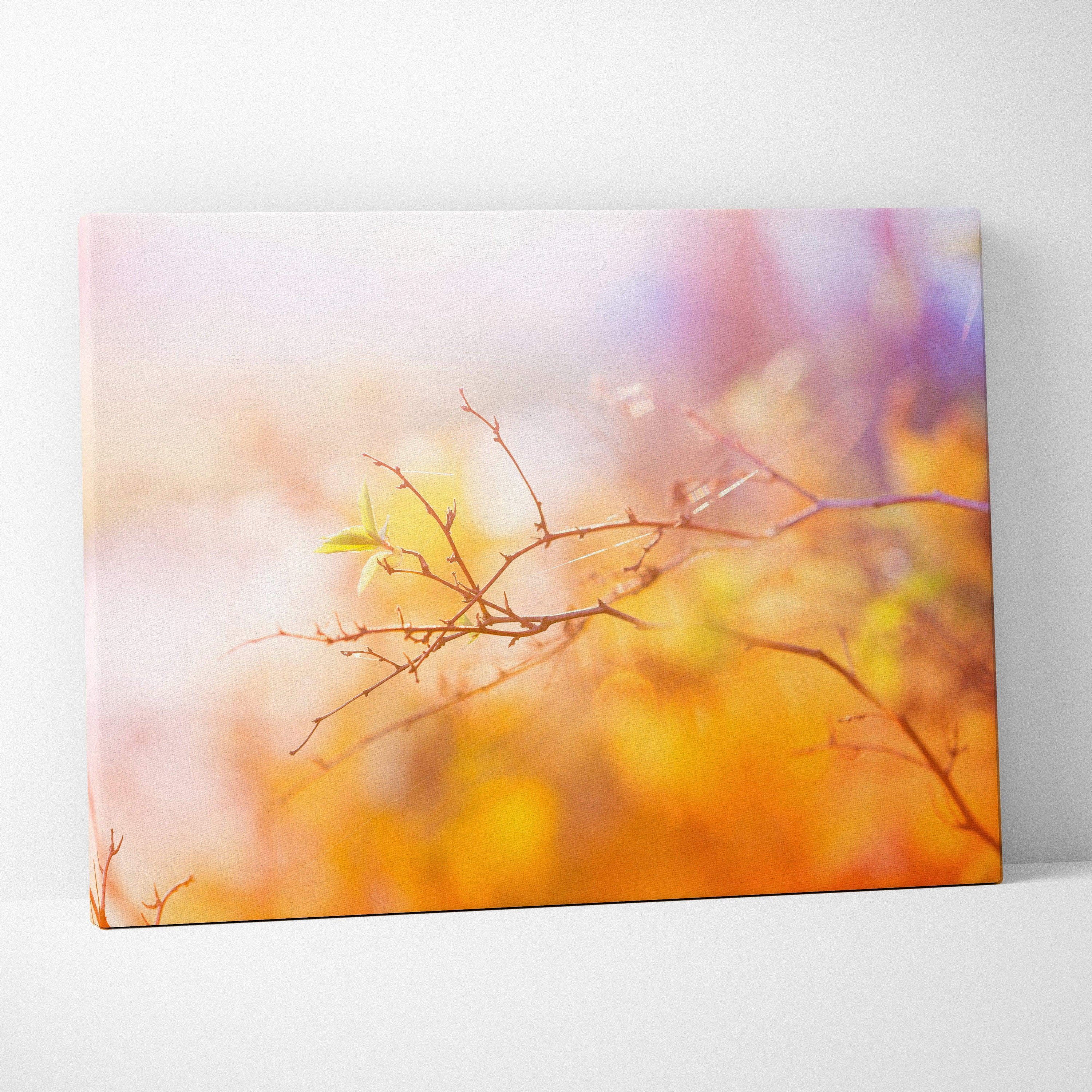 Canvas wall art of dreamy soft-focus cherry blossom autumn sunset scene