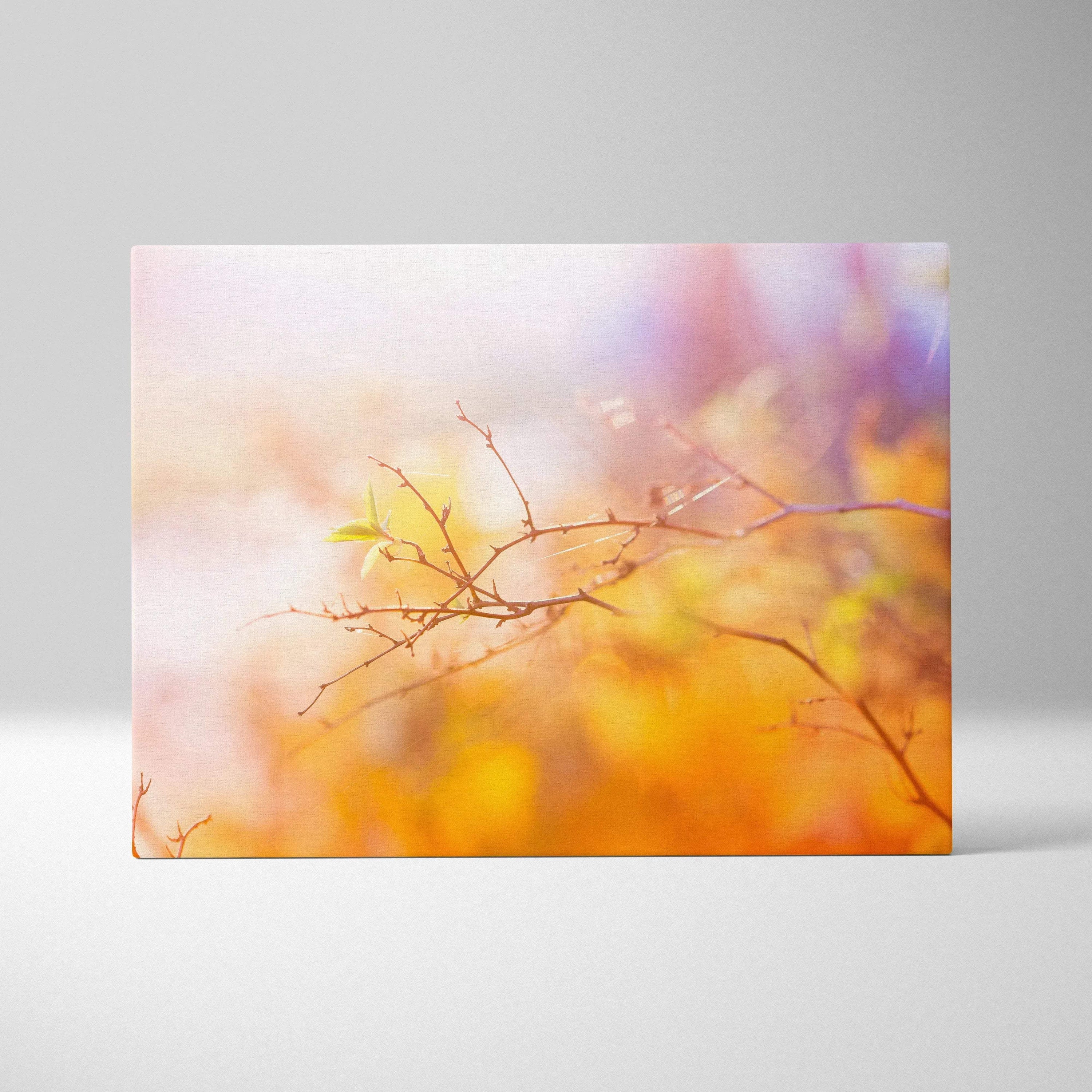 Canvas wall art of cherry blossom branches in warm sunset hues