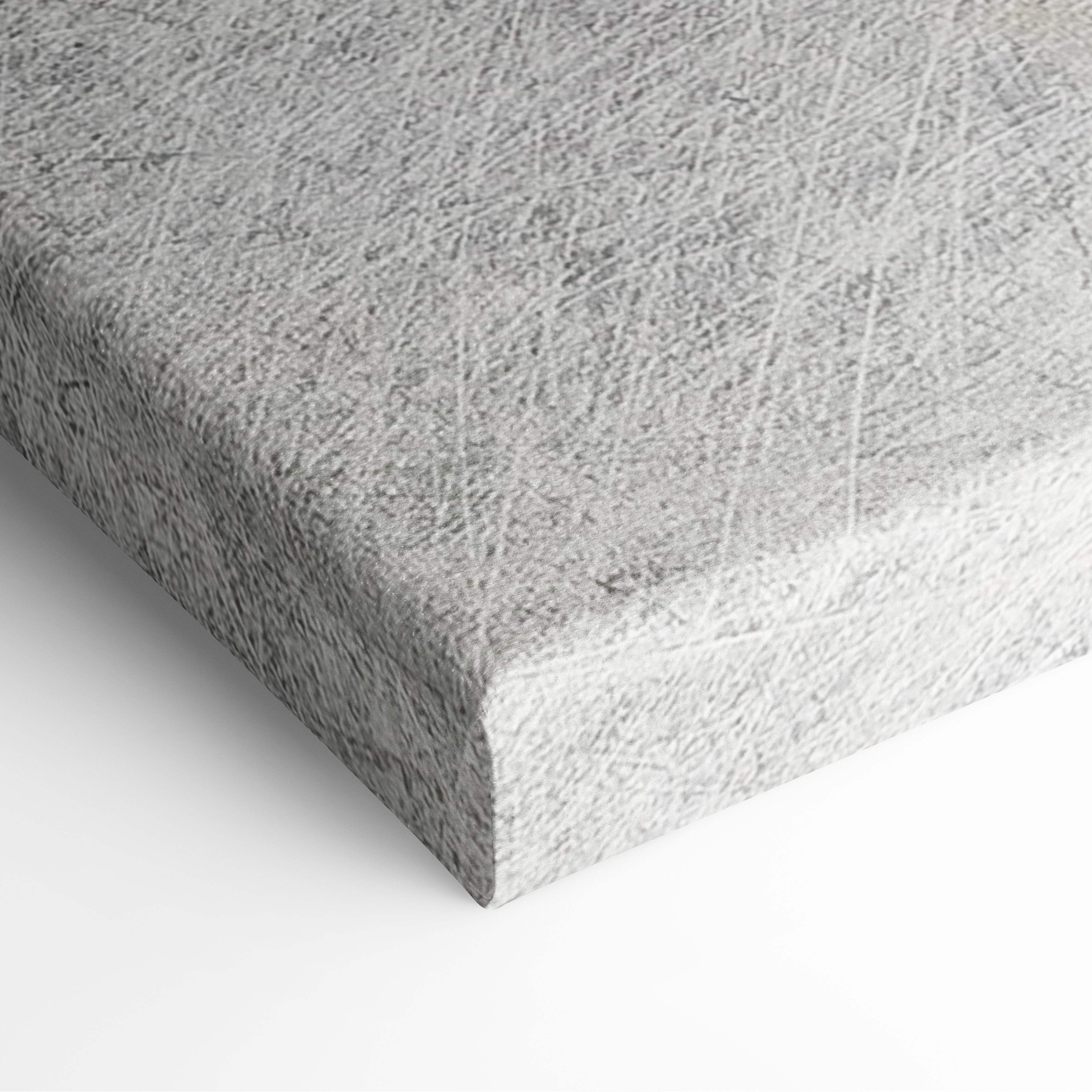 Gray textured canvas wall art print with subtle fibrous pattern inspirational discipline and success mindset design