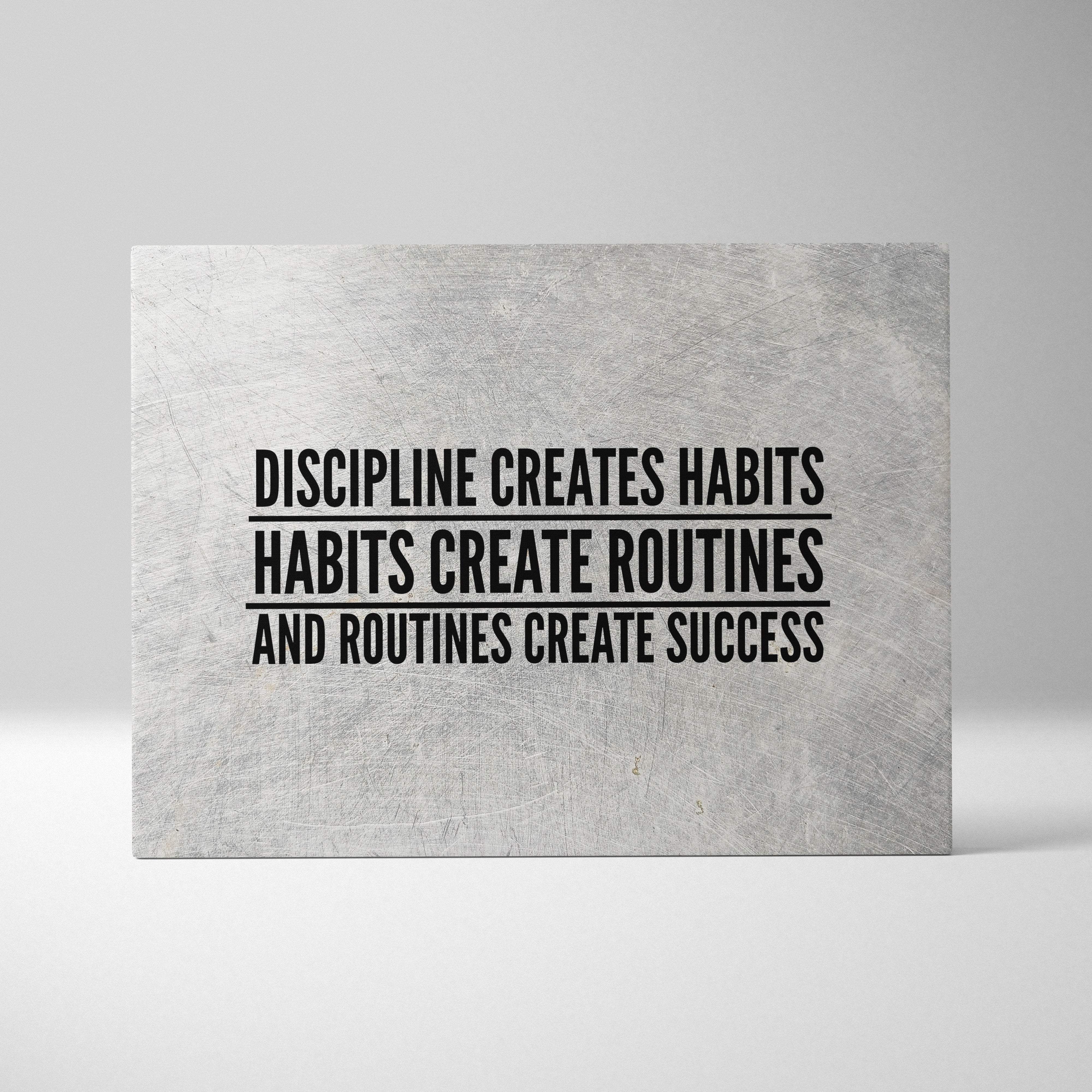 Gray textured canvas plaque with bold black motivational text about discipline creating habits routines and success for office gym or home