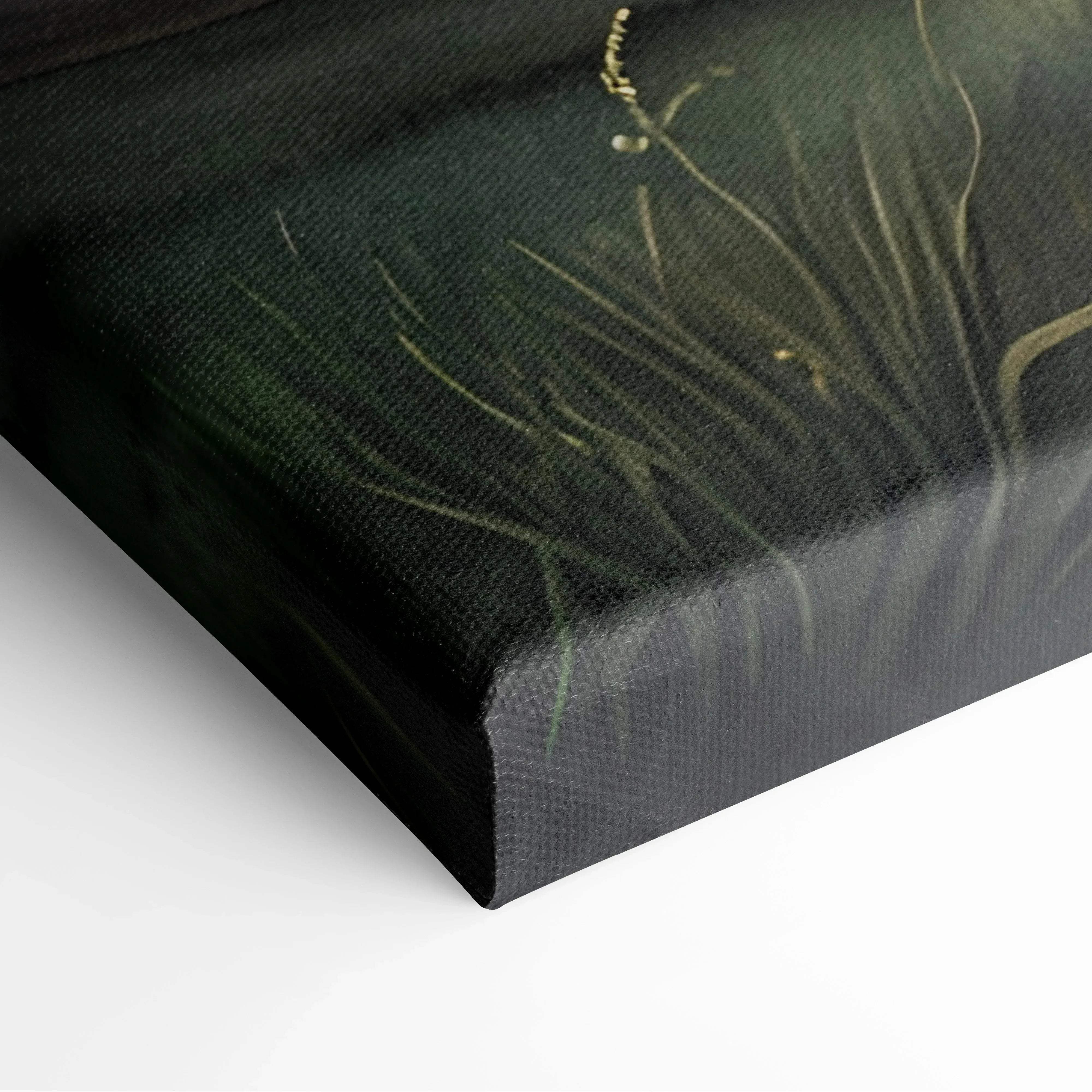 Black canvas print of delicate golden-green grasses on dark green background inspired by starry night sky aurora hues