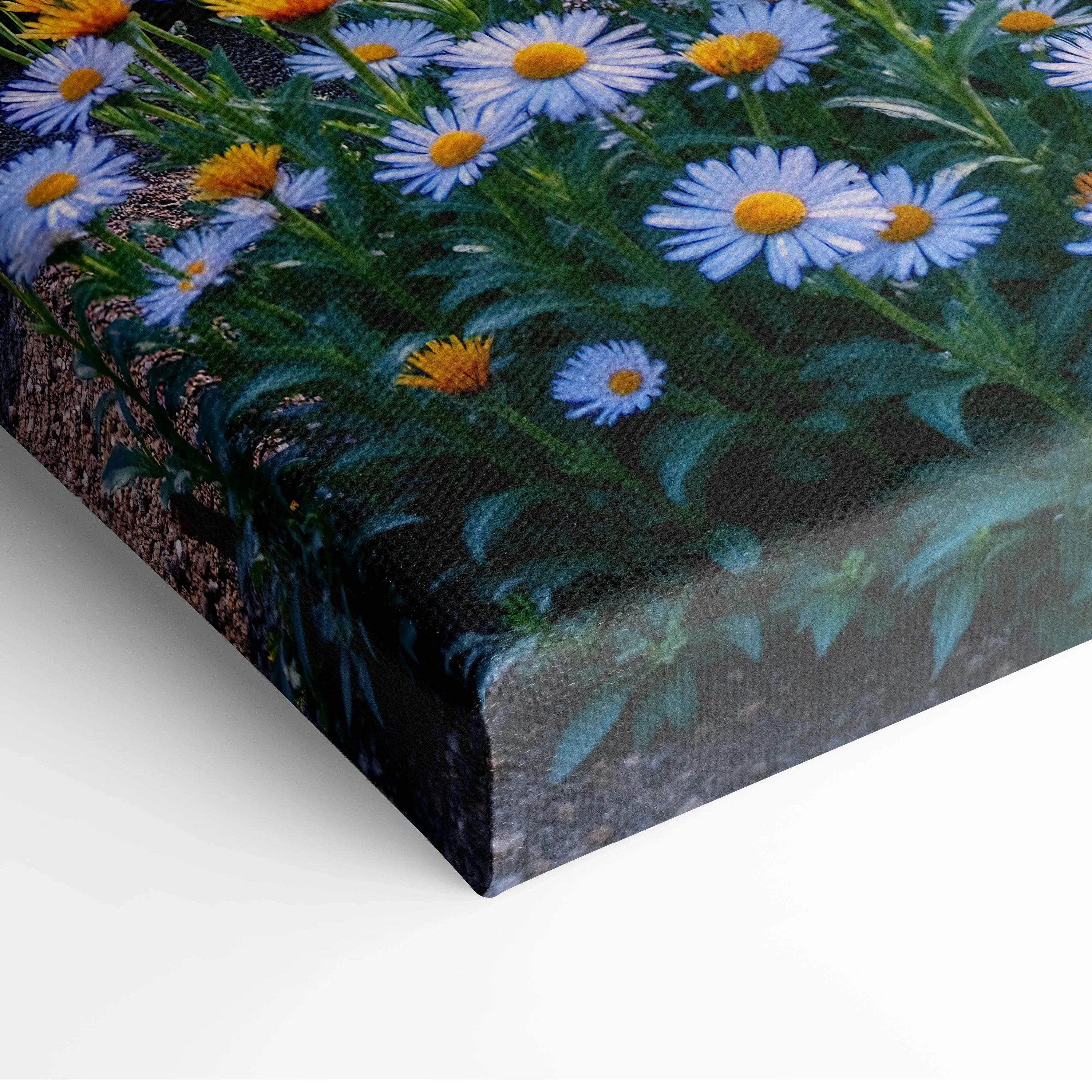 Canvas wall art featuring vibrant white and yellow daisy flowers with green foliage in a digital floral mountain design.