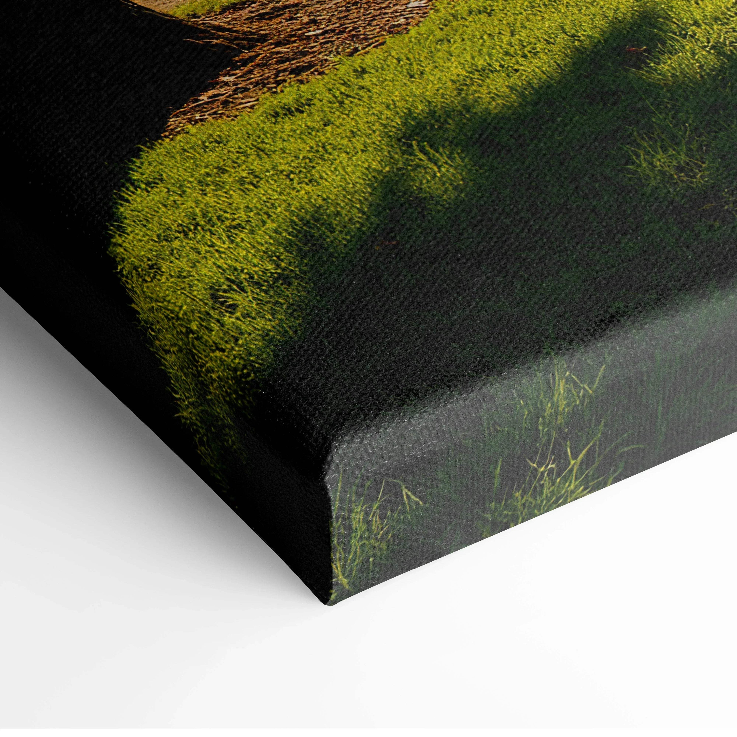 Close-up of vibrant sunset canvas corner with rich green grass detail wall art texture.