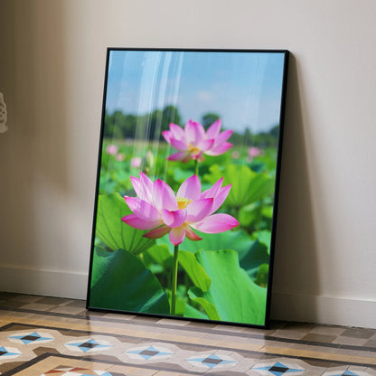 Floral nature digital art wall poster featuring vibrant pink lotus flowers and green leaves in soft sunlight.