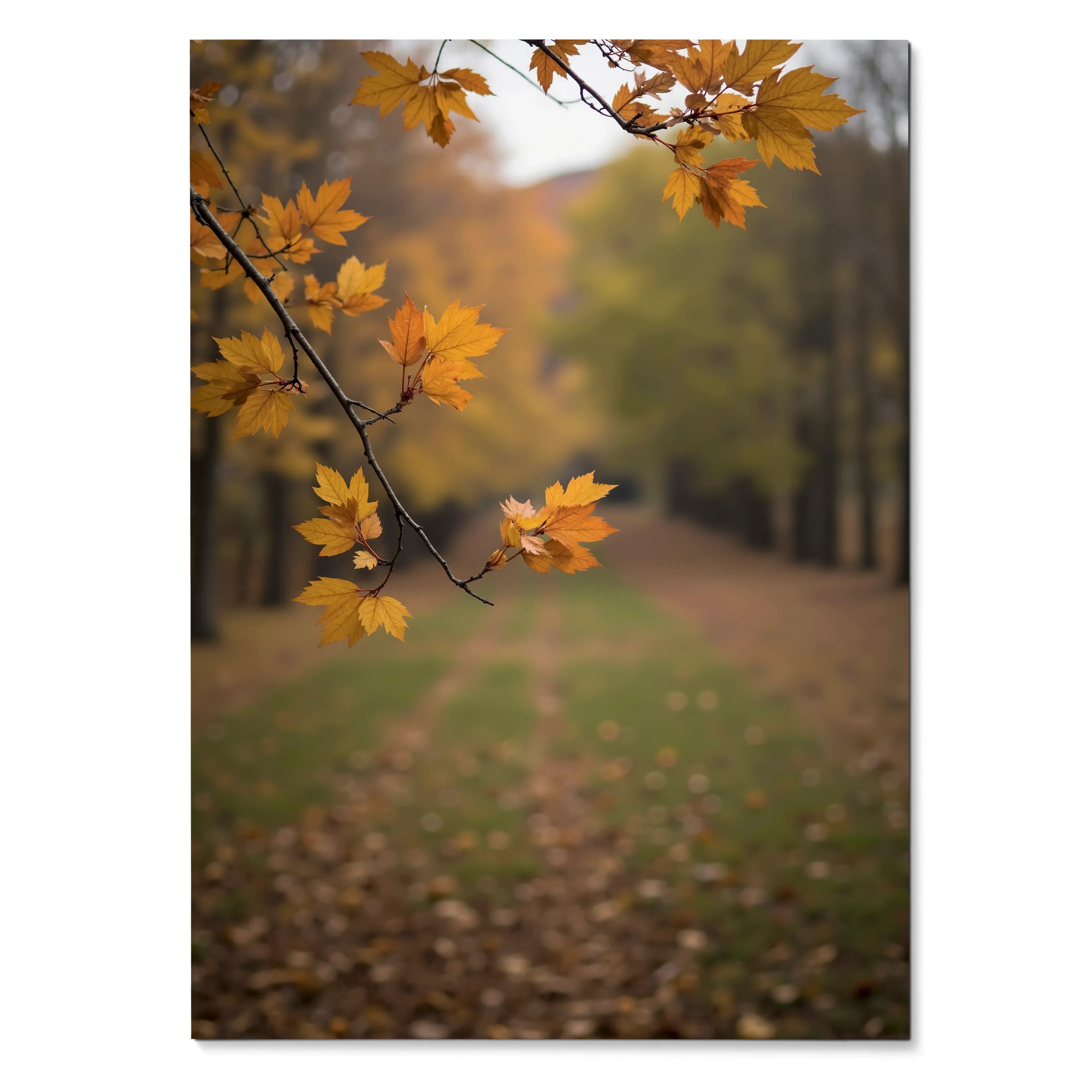 Vertical autumn leaves branch with vibrant orange foliage over blurred path wall art poster.