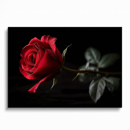 Red rose flower close-up digital art poster with dark background for wall art.