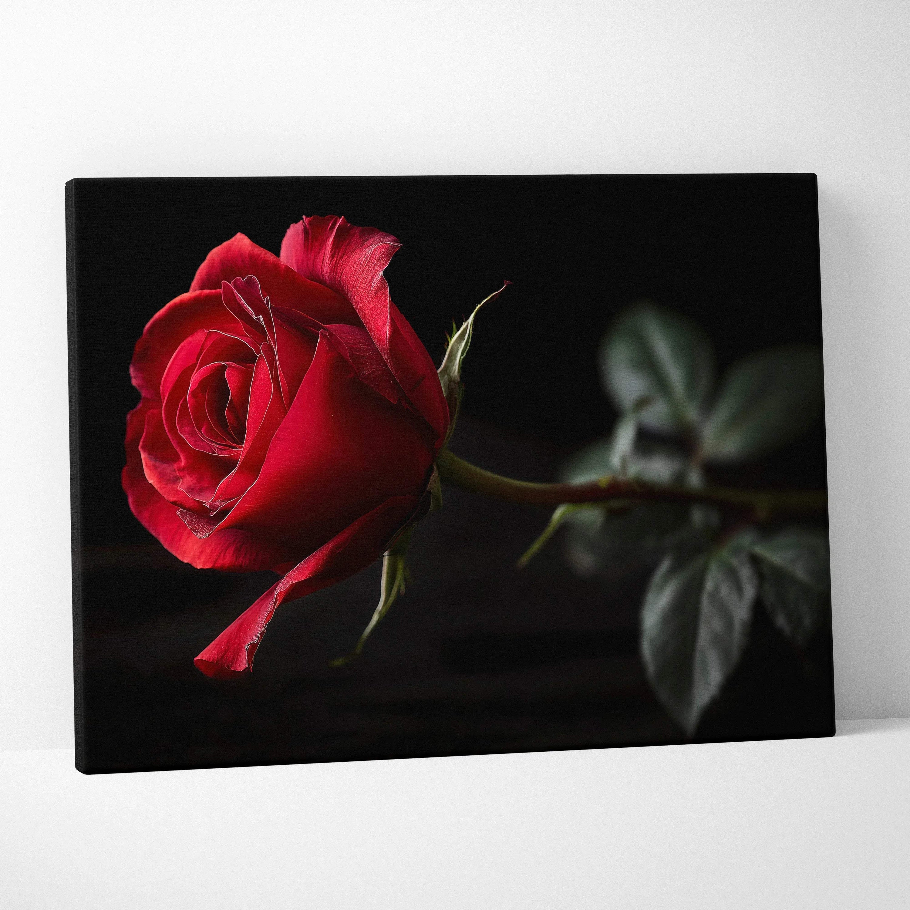 Canvas wall art featuring a vibrant red rose with dark green leaves on a black background.