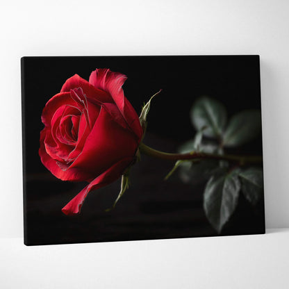 Canvas wall art featuring a vibrant red rose with dark green leaves on a black background.