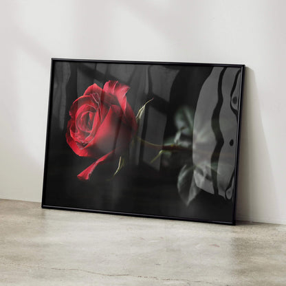 Framed vibrant red rose floral digital art poster with dark background wall art.