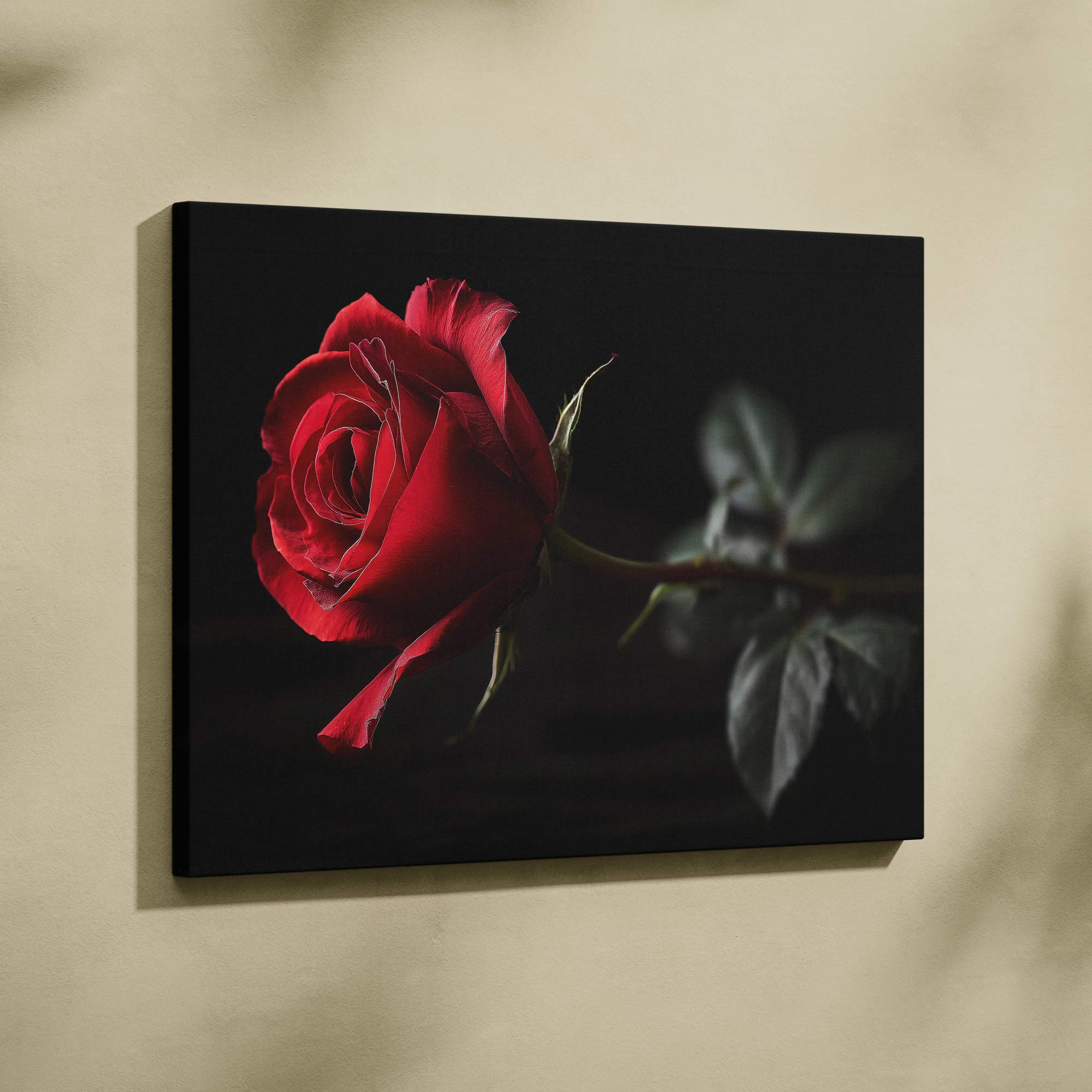 A vibrant red rose with delicate petals on black canvas wall art with deep shadow backdrop for living room decor