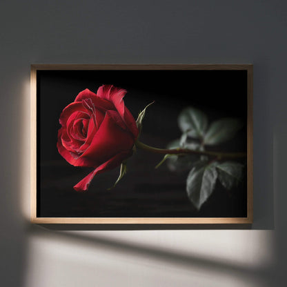 Red rose digital art poster with dark background, floral wall art in wooden frame.