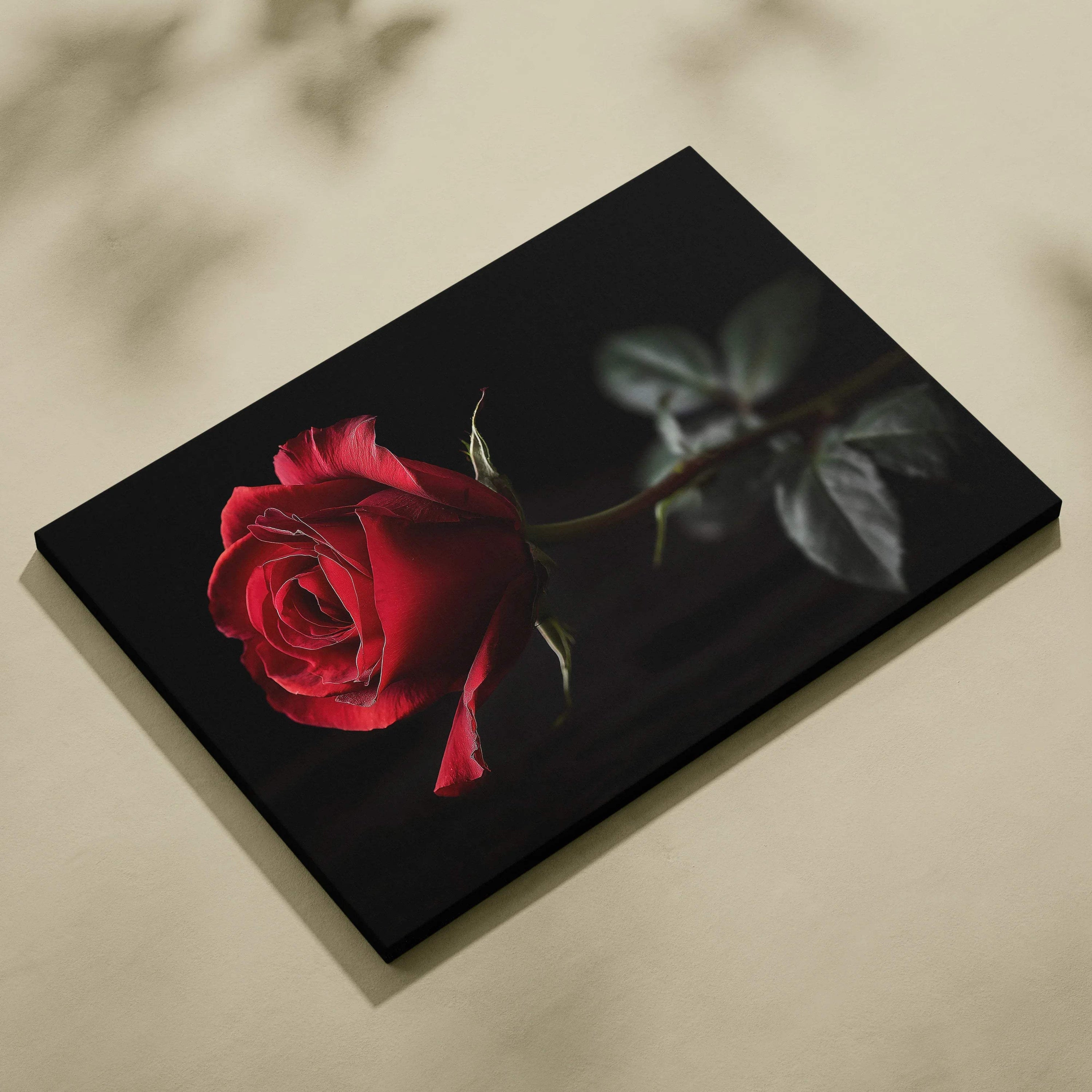 Canvas wall art featuring a vibrant red rose with dark green leaves on a black background.