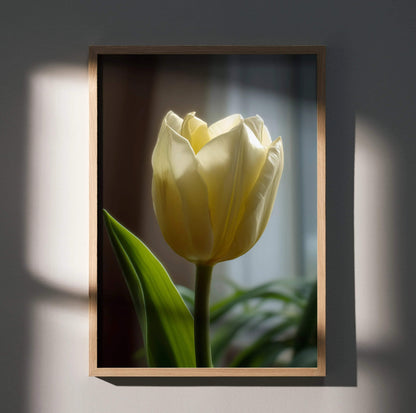Vertical poster wall art featuring close-up of a pale yellow tulip with green leaves against a softly lit background.