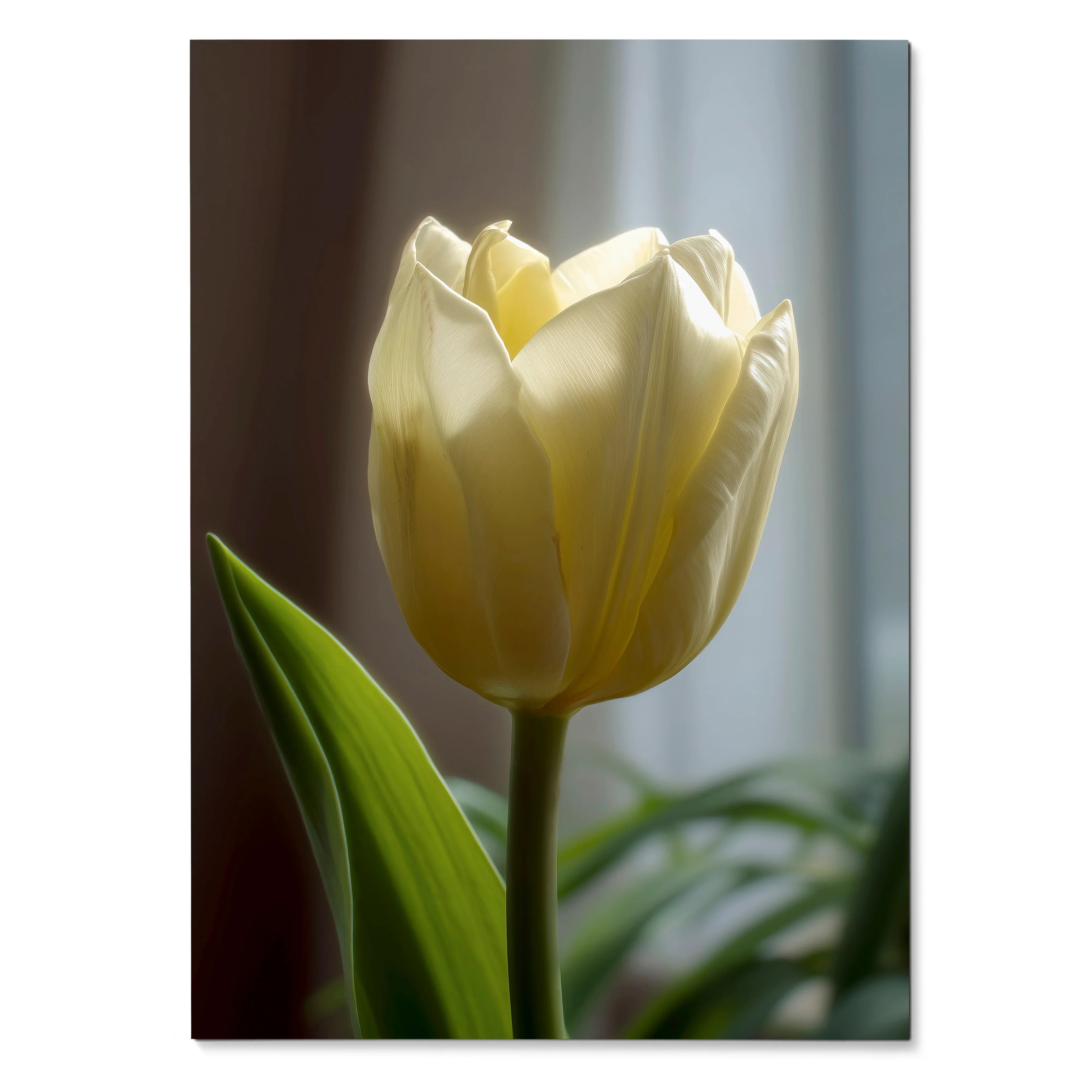 Vertical poster of a soft yellow tulip with green leaves, floral wall art with natural light shadows.