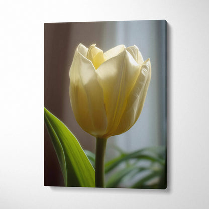 Canvas wall art featuring a close-up of a creamy white tulip with green leaves and soft lighting.