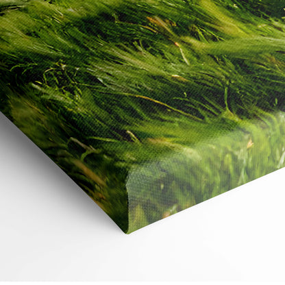 Massive tornado over farmhouse canvas print featuring vibrant textured underwater green seaweed for rustic decor