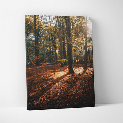 Autumn forest landscape with golden leaves and sunlight on canvas wall art.