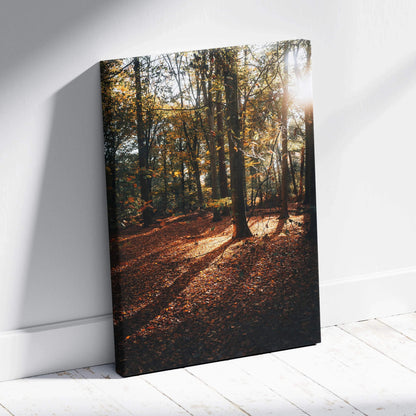 Autumn forest scene with golden leaves and sunlight on canvas wall art.
