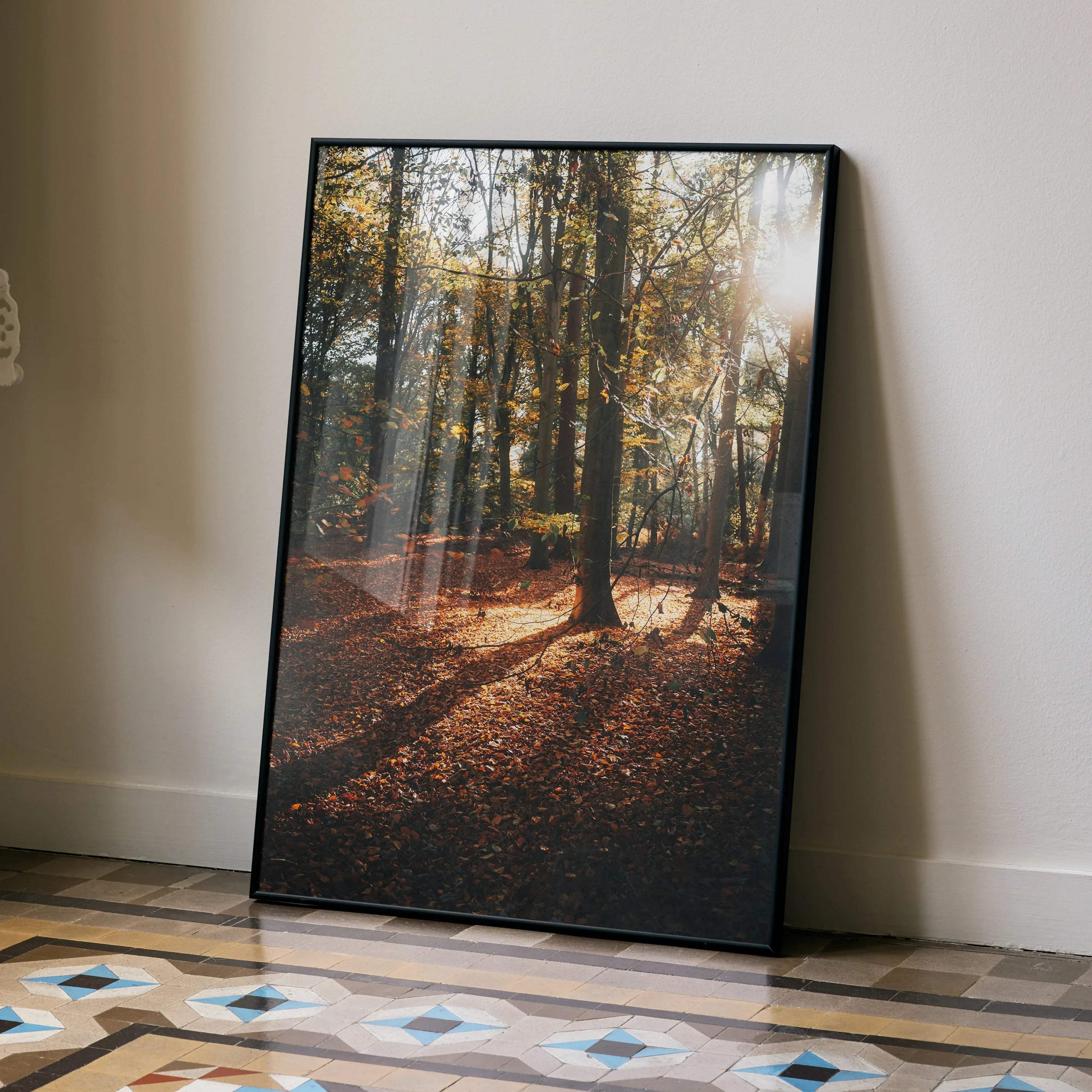 Black-framed vertical forest photography print with golden sunlight filtering through autumn trees and fallen leaves