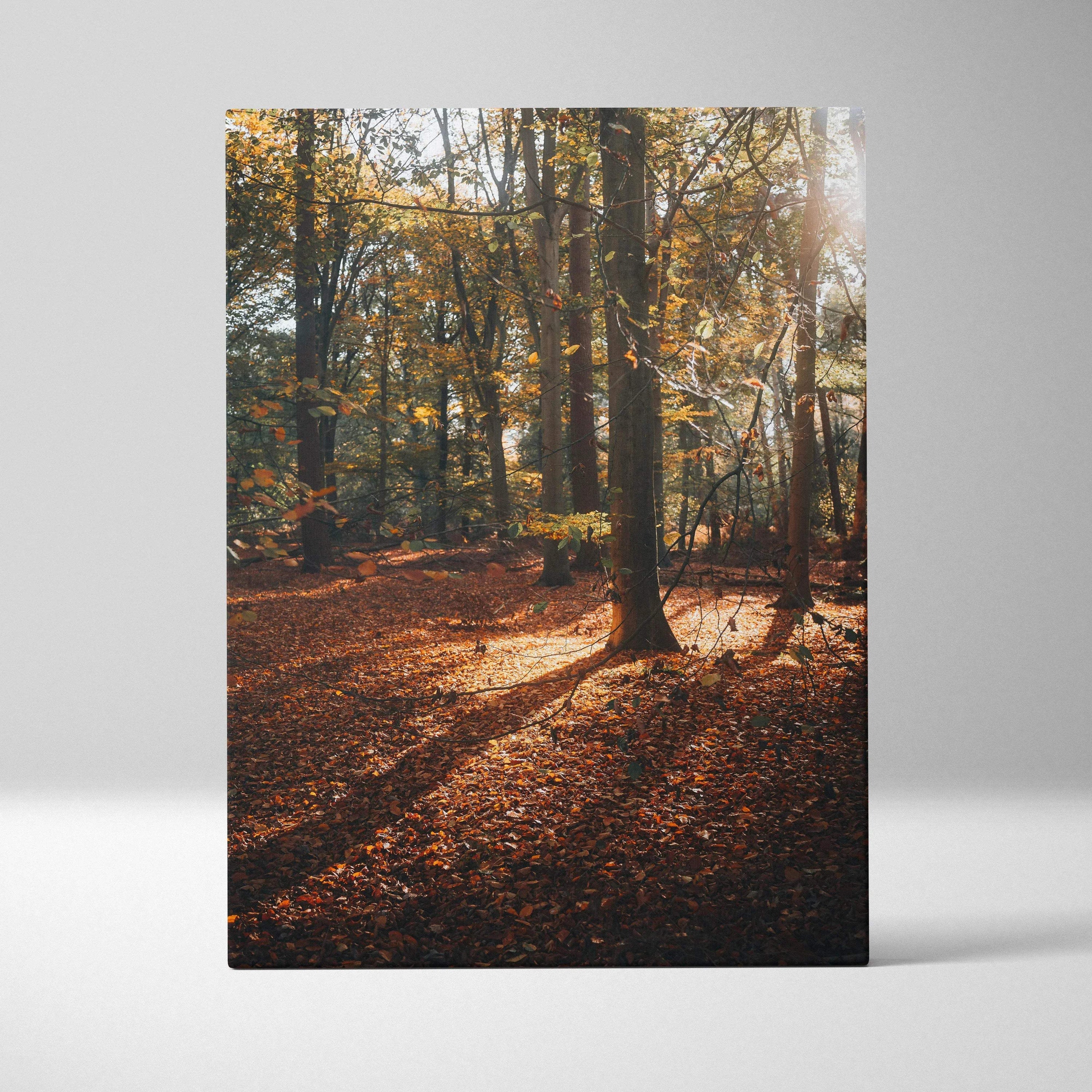 Vertical autumn forest scene with golden leaves and sunlight, canvas wall art.