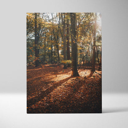 Vertical autumn forest scene with golden leaves and sunlight, canvas wall art.