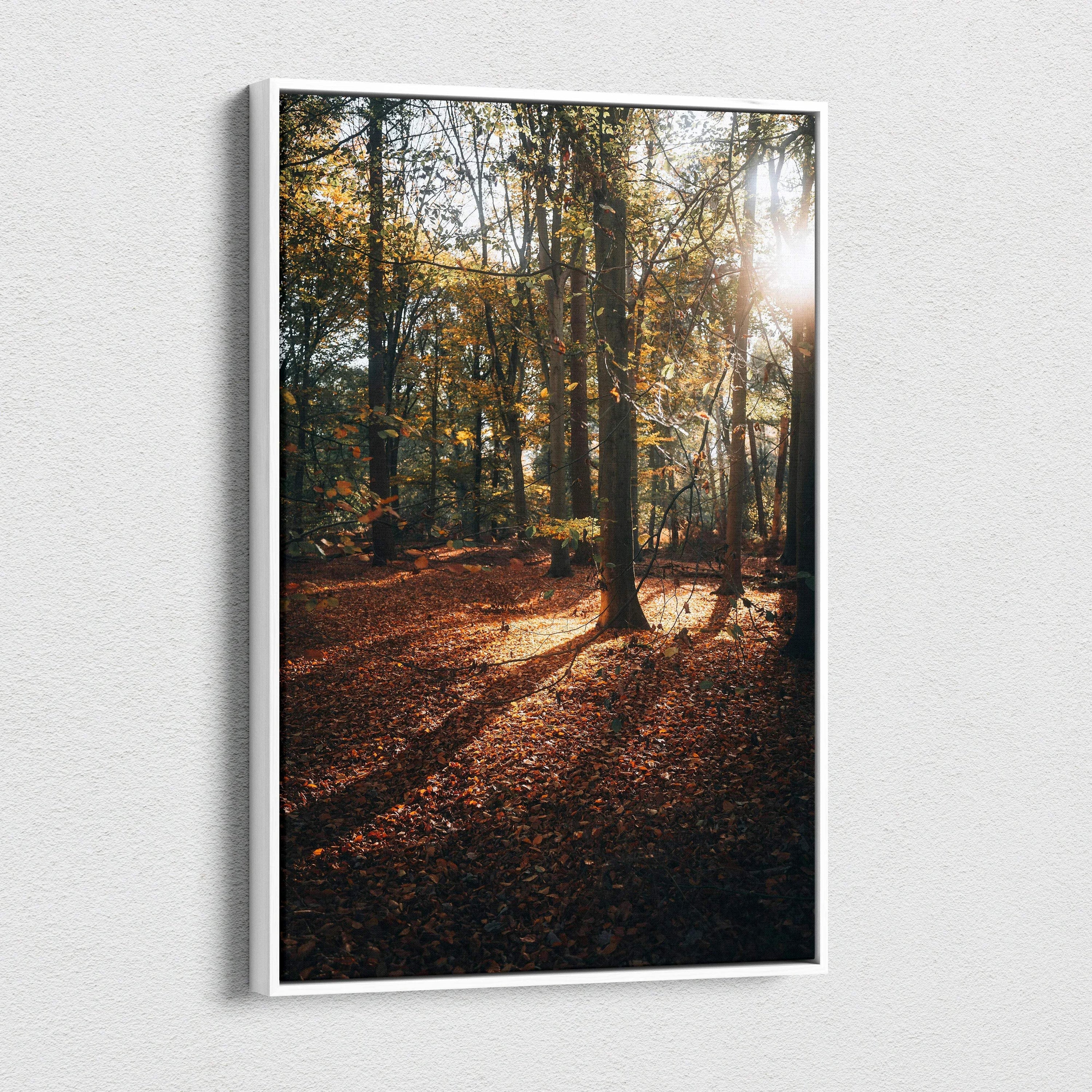Autumn forest scene with golden leaves and sunlight streaming through trees on canvas wall art.