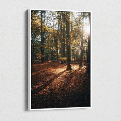 Autumn forest scene with golden leaves and sunlight streaming through trees on canvas wall art.