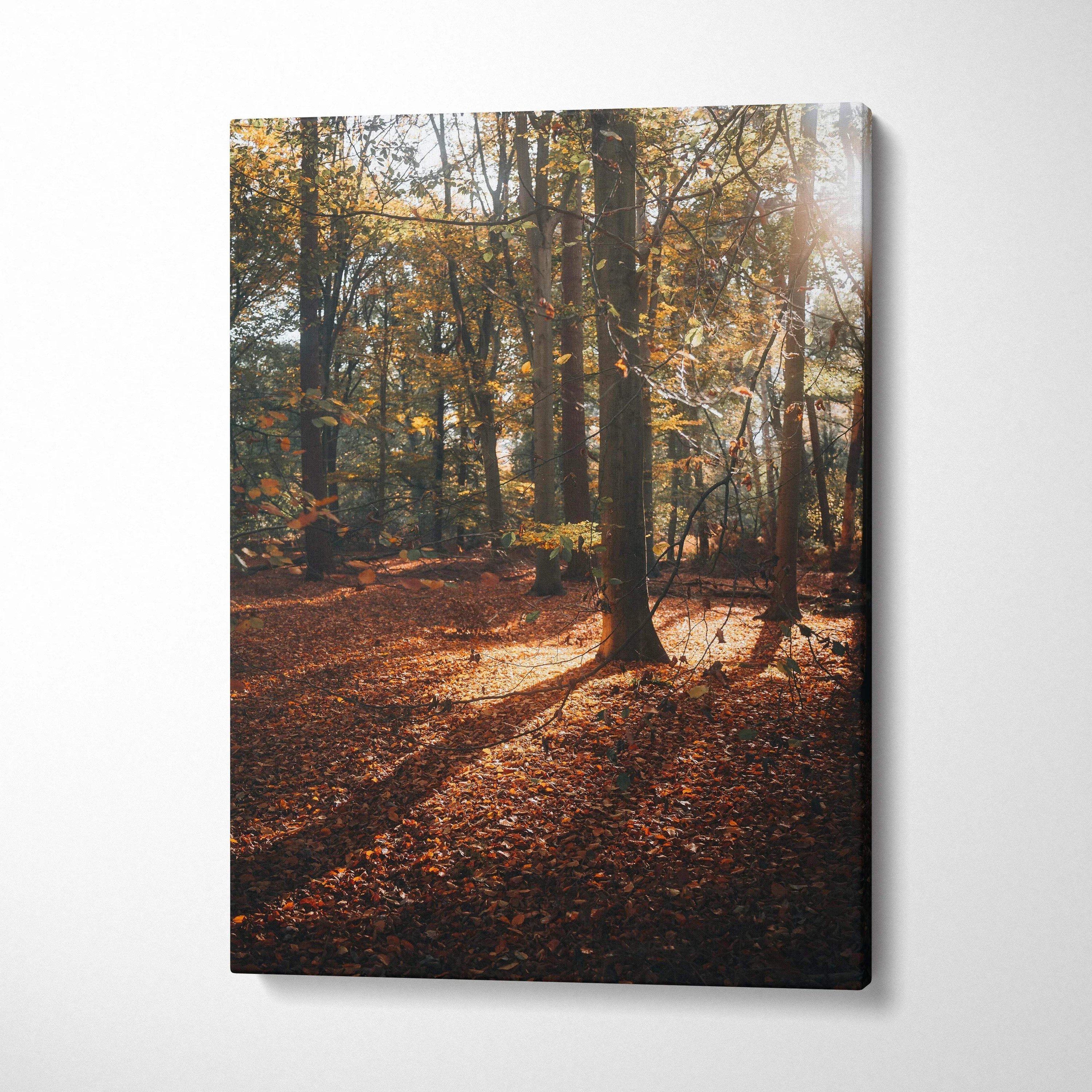Autumn forest landscape with golden leaves and dappled sunlight on canvas wall art.