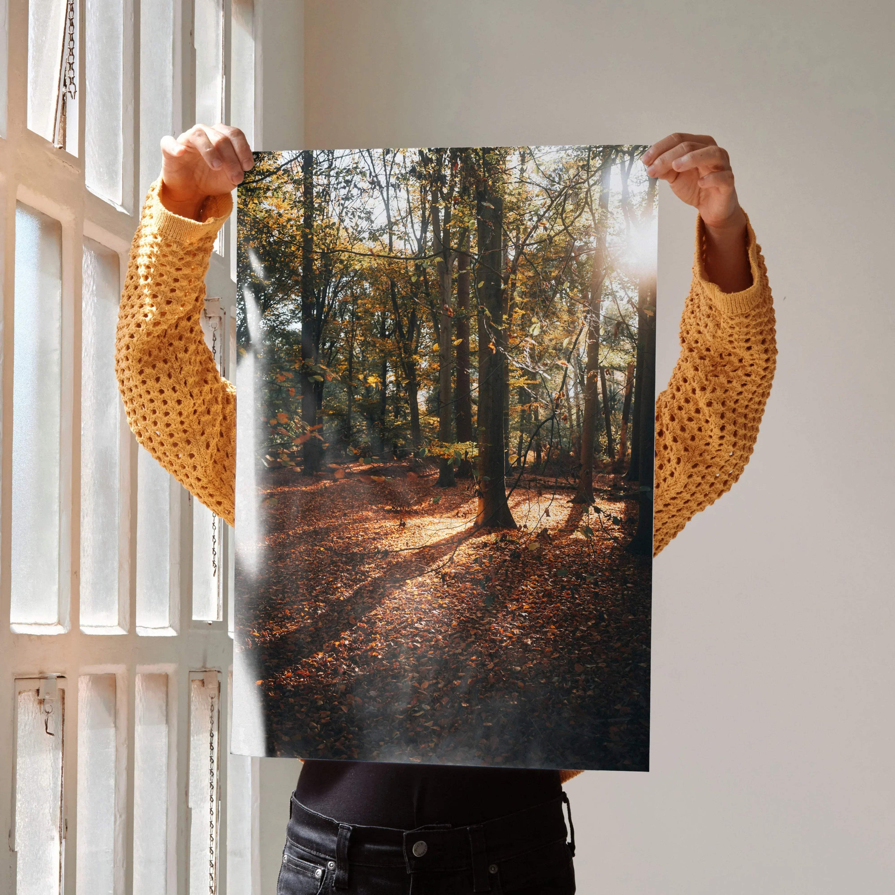Vertical autumn forest poster with sunlit trees and fallen leaves, vibrant wall art.