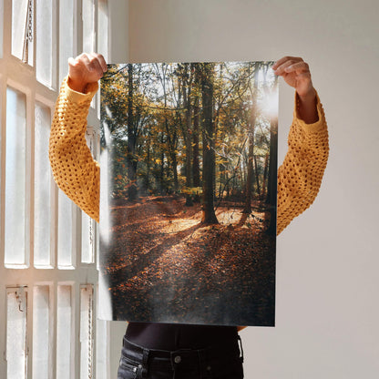 Vertical autumn forest poster with sunlit trees and fallen leaves, vibrant wall art.