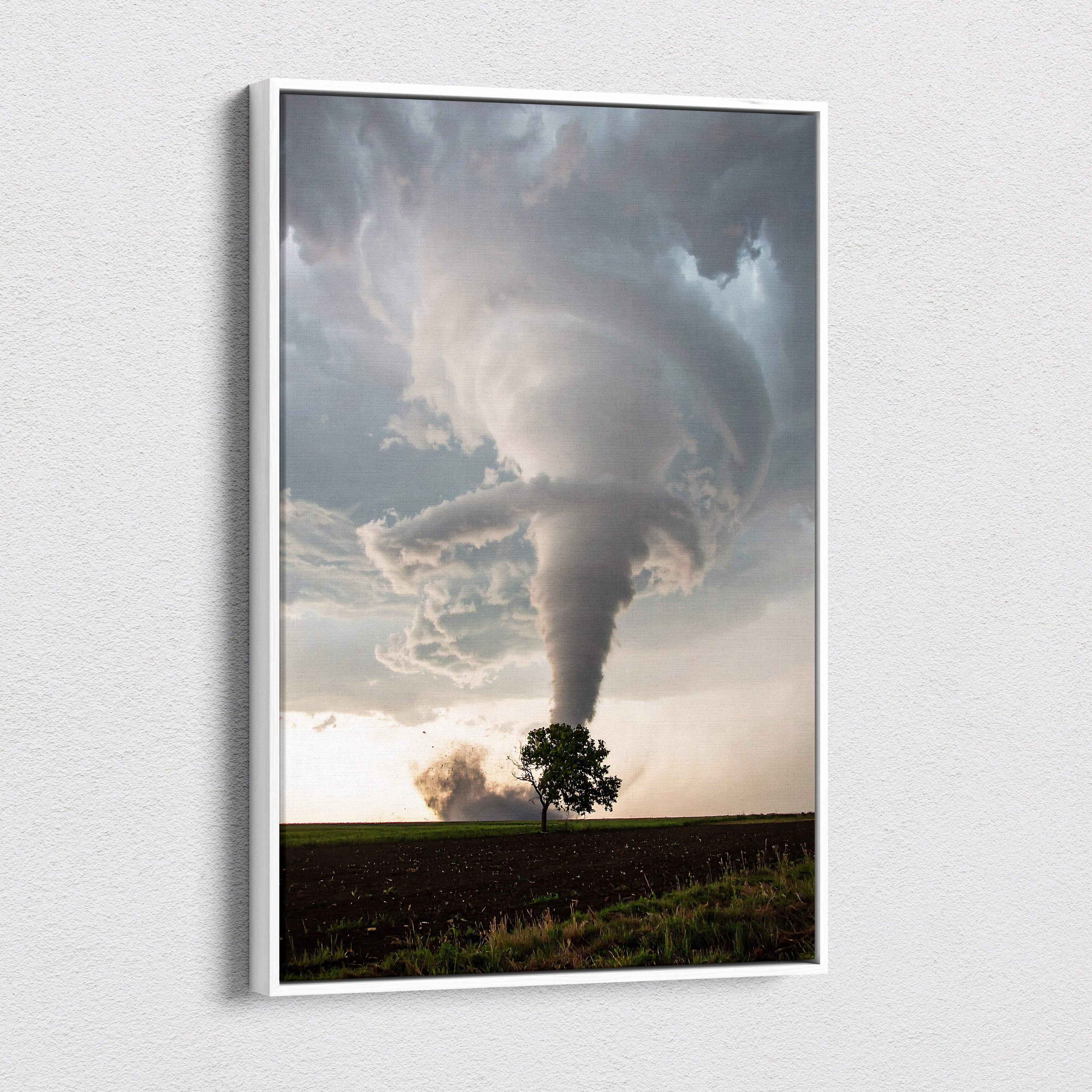 A framed canvas wall art of a powerful tornado over a lone tree with gray clouds and a golden sky for rustic decor