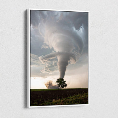 A framed canvas wall art of a powerful tornado over a lone tree with gray clouds and a golden sky for rustic decor