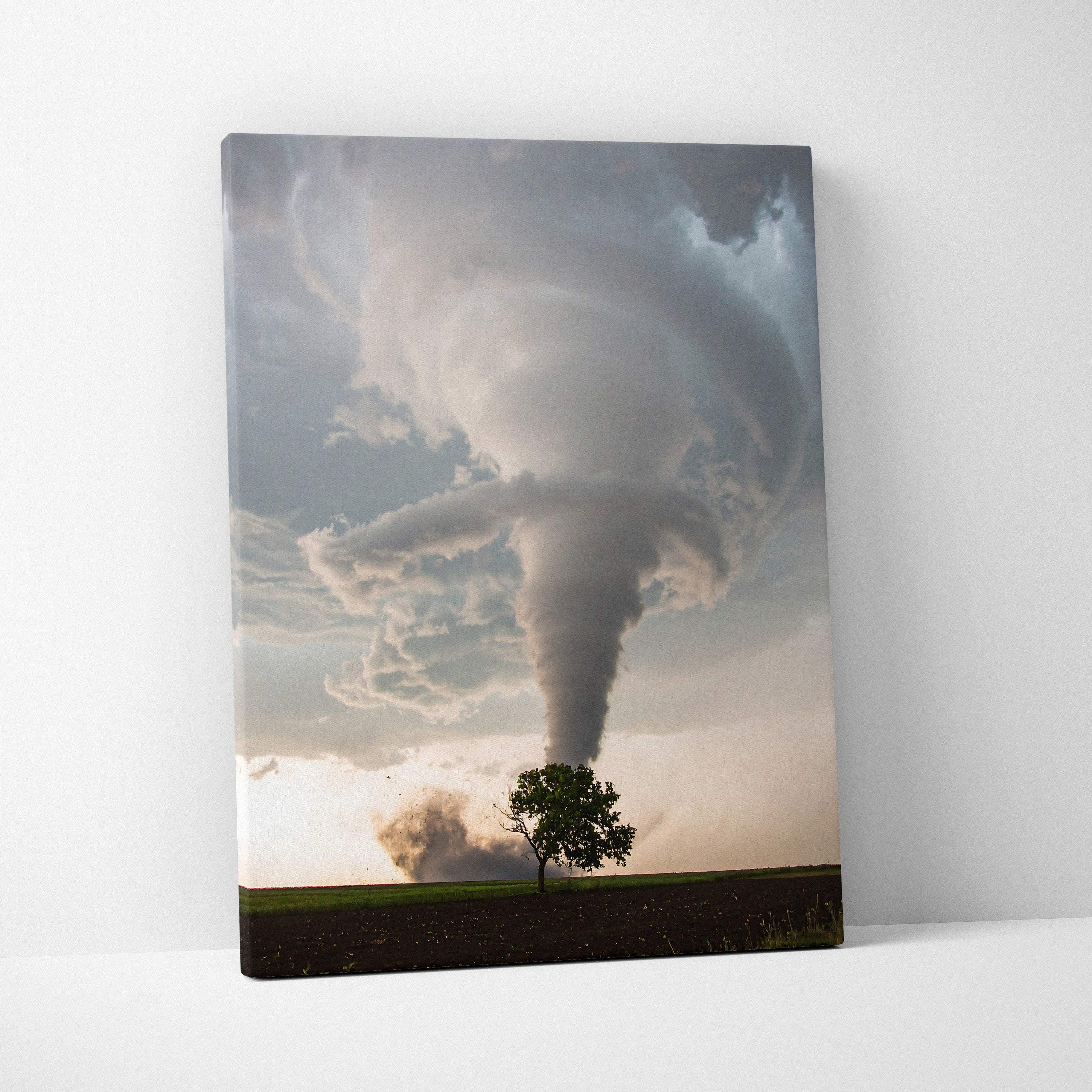 Powerful tornado over lone tree canvas wall art featuring dramatic gray and white storm clouds above a green tree in a field