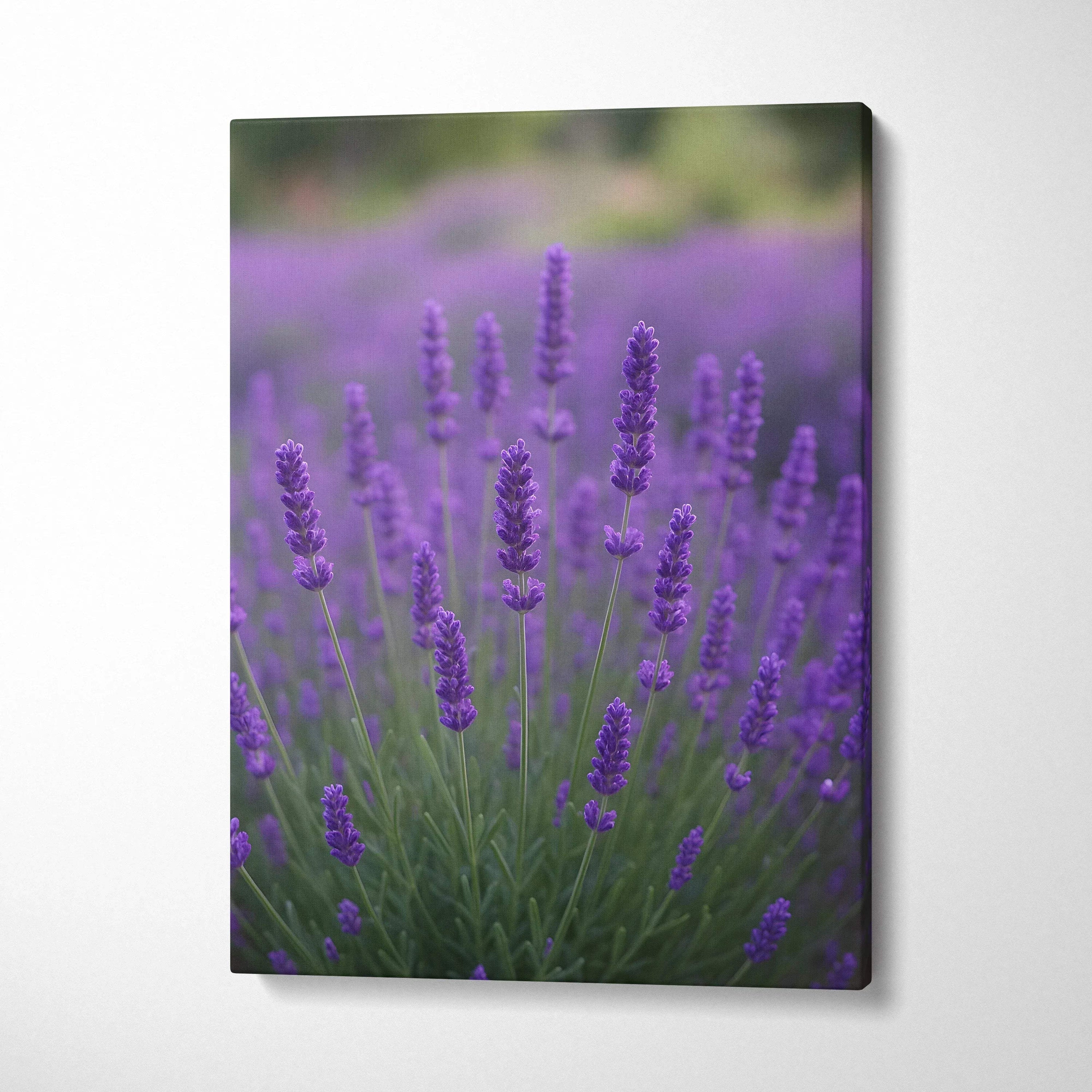 Vertical canvas wall art featuring vibrant purple lavender flowers in a soft-focus garden background.