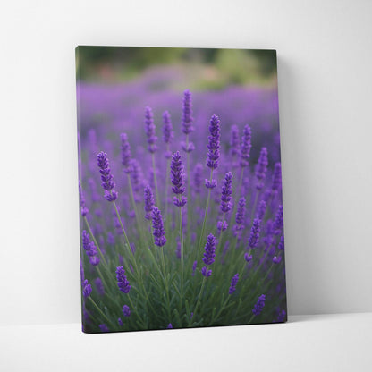 Purple lavender flowers close-up on canvas wall art with green foliage background.