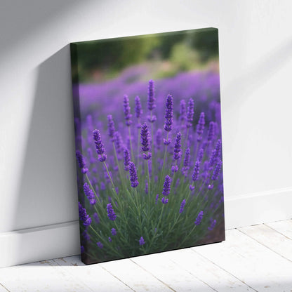 Canvas wall art featuring vibrant purple lavender flowers in a natural green field setting.