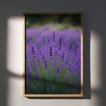 Vertical poster wall art featuring vibrant purple lavender flowers in soft focus natural setting.