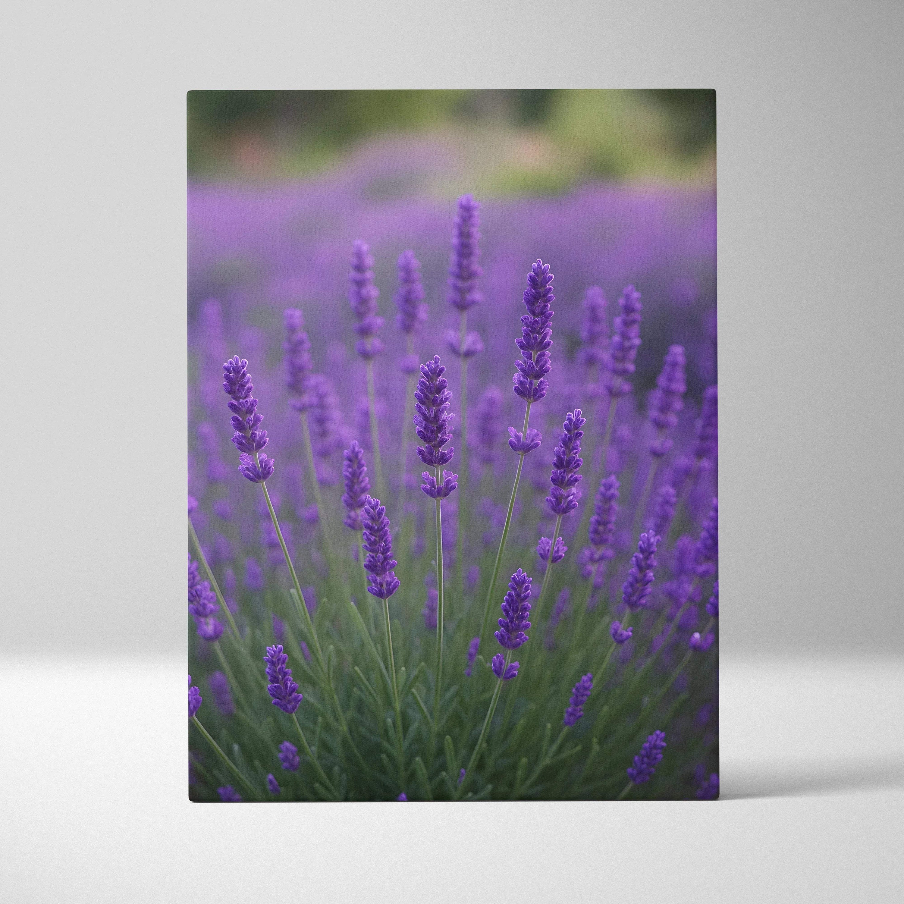 Vertical canvas wall art featuring vibrant purple lavender flowers with green stems and blurred background.