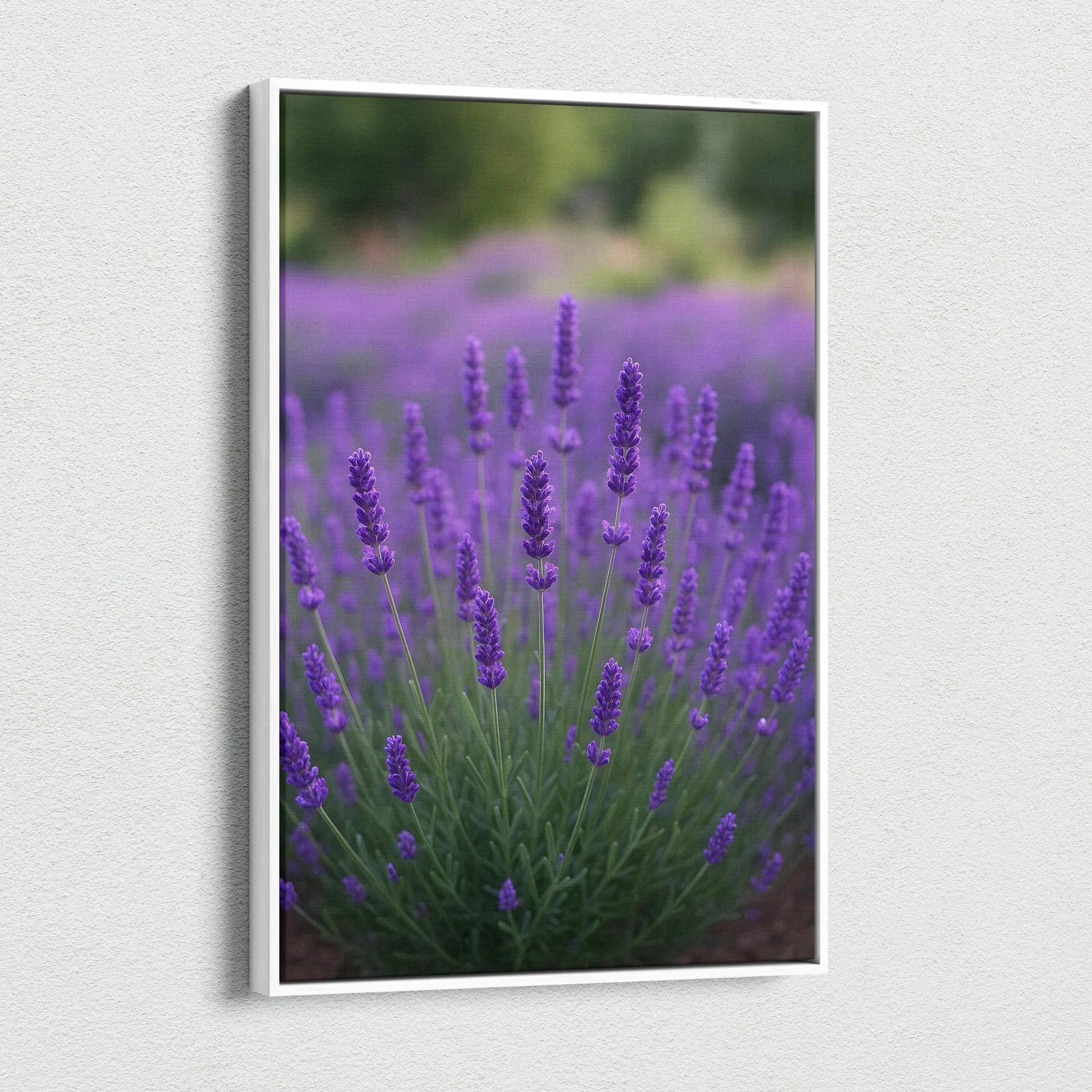 Vertical canvas wall art featuring vibrant purple lavender flowers in soft focus background.