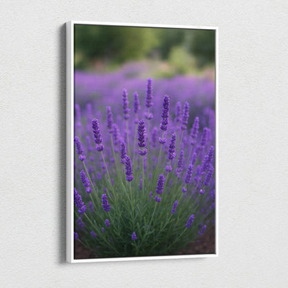Vertical canvas wall art featuring vibrant purple lavender flowers in soft focus background.