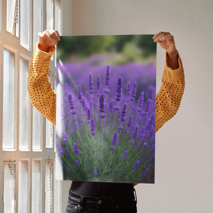 Vibrant purple lavender floral poster wall art with green stems and blurred background.