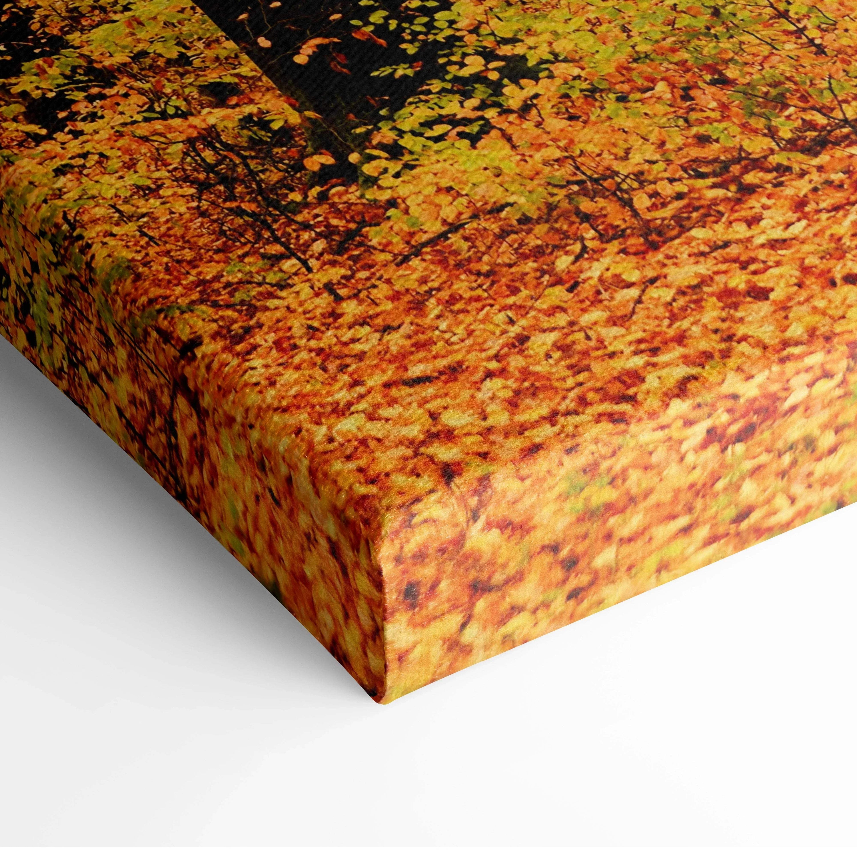 Autumn woodland scene canvas wall art with vibrant orange and yellow leaves.