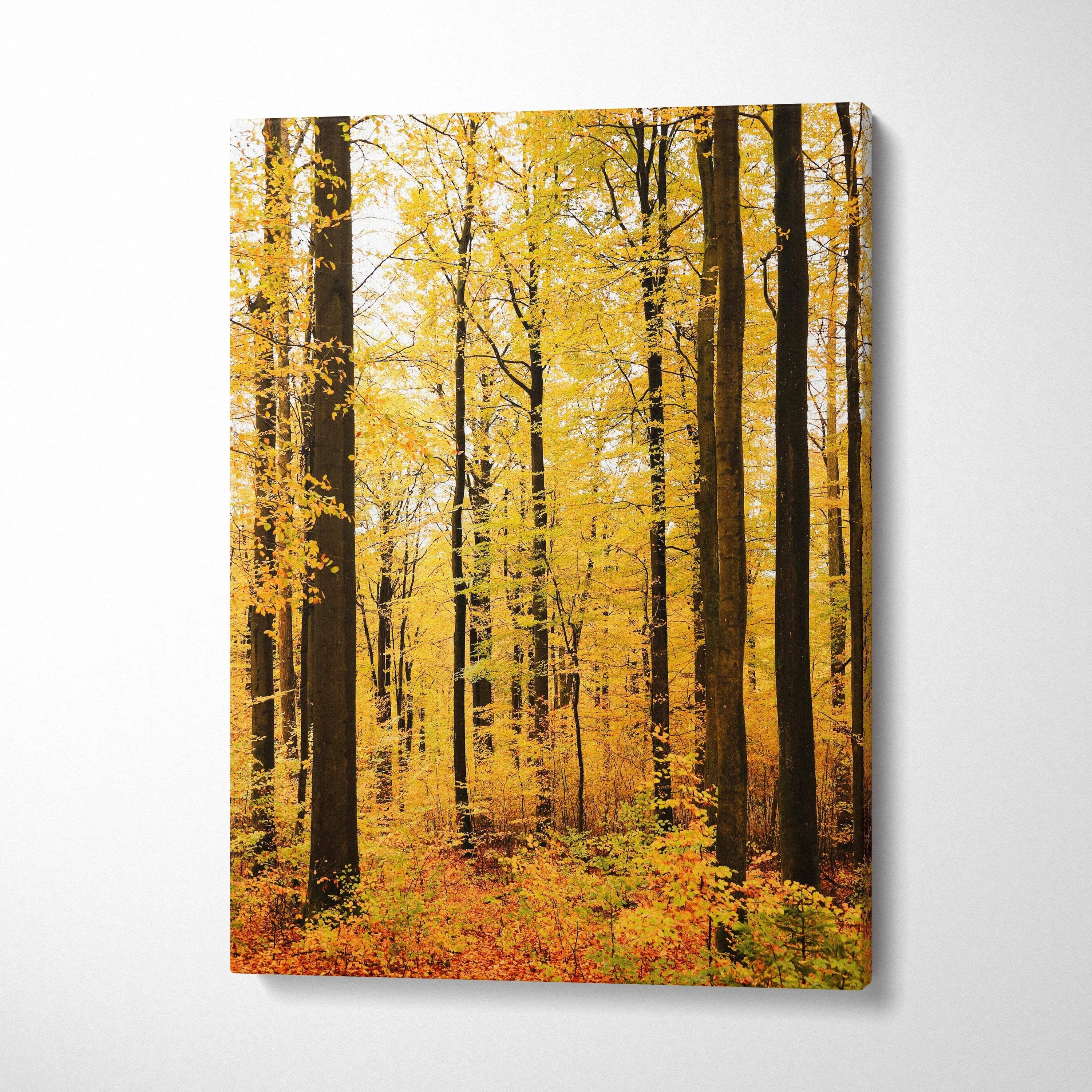 Autumn woodland scene with golden trees on vertical canvas wall art print.