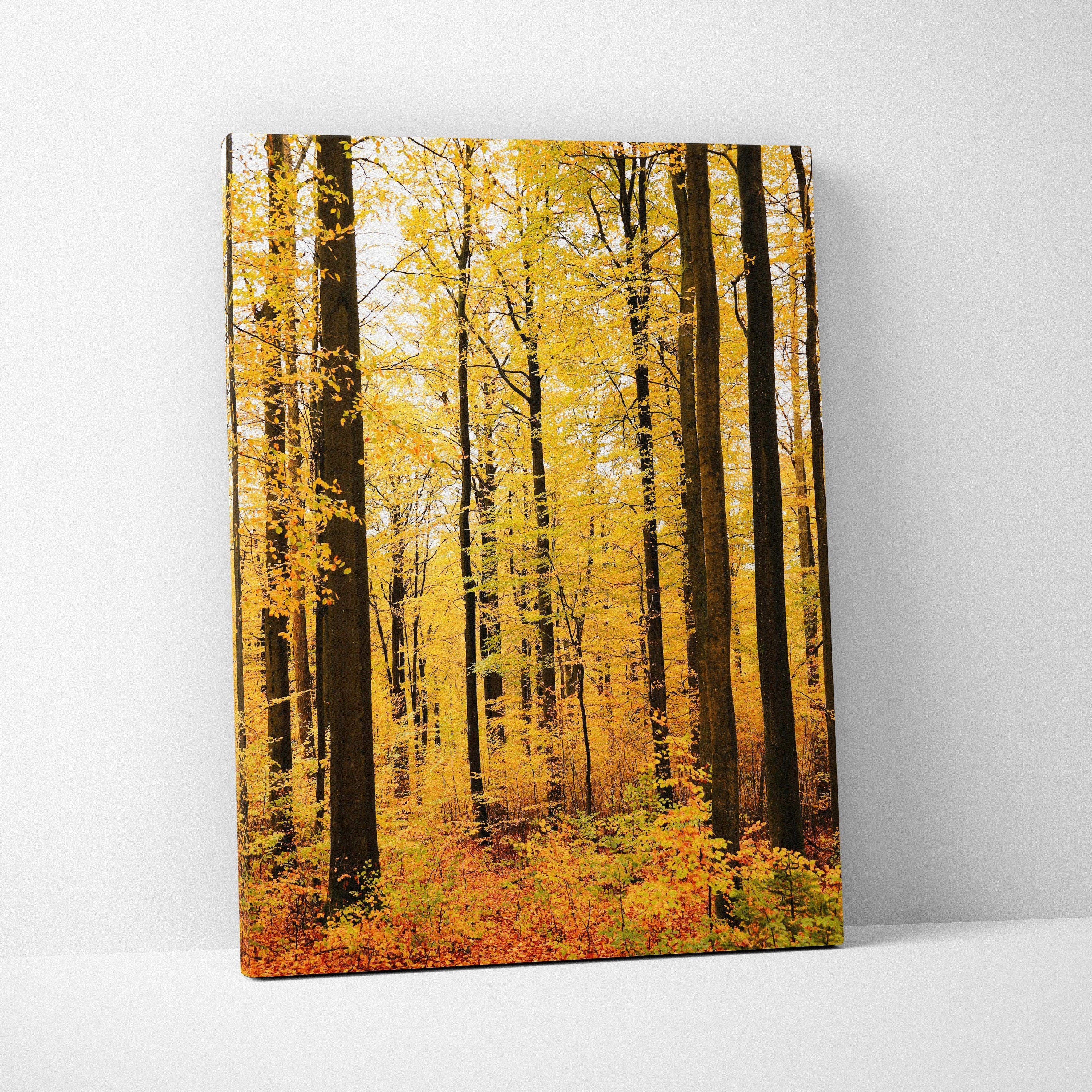 Autumn woodland scene with golden leaves on canvas wall art print.