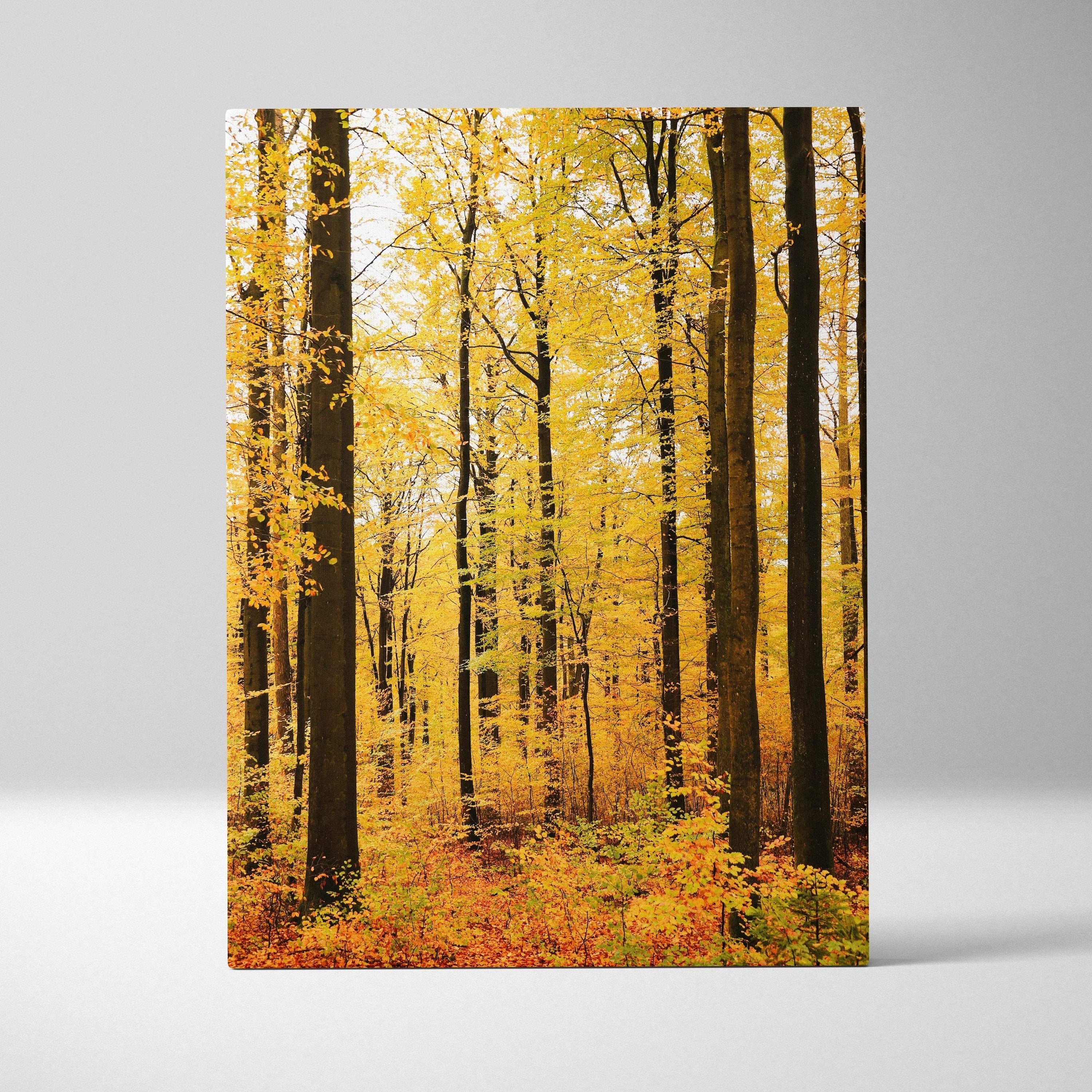 Autumn woodland canvas wall art with golden yellow leaves and tall tree trunks.
